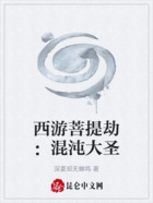 西游菩提劫:混沌大圣在线阅读