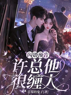 闪婚预告:许总他很缠人在线阅读