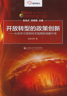 開放轉型的政策創新：從經濟大國到經濟強國的戰略升級