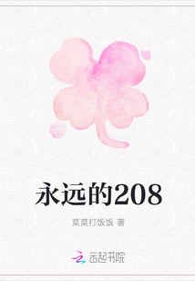永遠的208