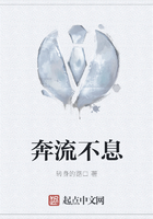 奔流不息在線閱讀