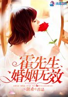 霍先生婚姻无效