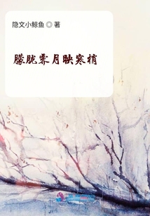 朦胧霁月映寒梢