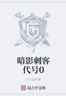 暗影刺客代號(hào)0