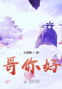 哥你好