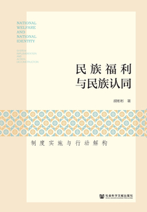 民族福利與民族認(rèn)同:制度實(shí)施與行動(dòng)解構(gòu)