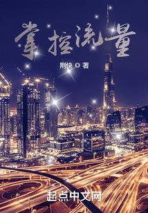 掌控流量