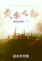 异次元黄金之都在线阅读