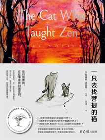 一只去找菩提的貓
