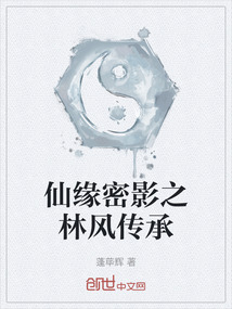 仙緣密影之林風傳承