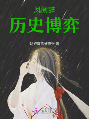 凤阙辞：历史博弈在线阅读