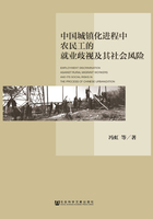 中国城镇化进程中农民工的就业歧视及其社会风险在线阅读