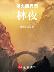 星火傭兵團林夜