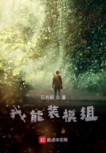 我能裝模組