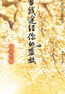 當我途經你的盛放