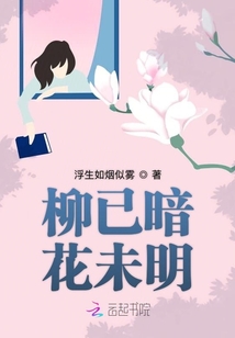柳已暗花未明