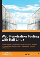 Web Penetration Testing with Kali Linux在线阅读