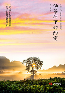 油茶樹下的約定