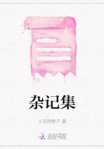雜記集