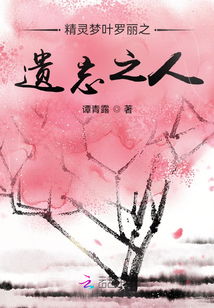 精靈夢葉羅麗之遺忘之人