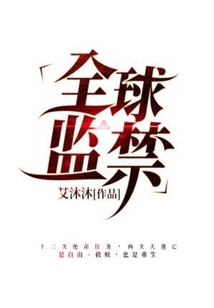 全球監禁