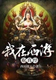 我在西游取真经 cover