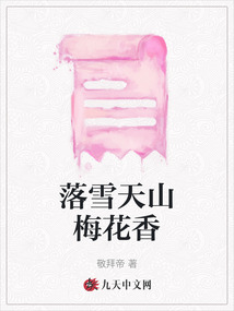落雪天山梅花香