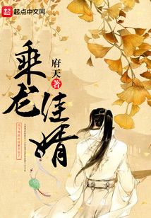 乘龙佳婿在线阅读