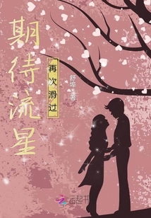 期待流星再次滑過