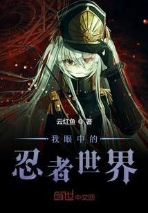 我眼中的忍者世界