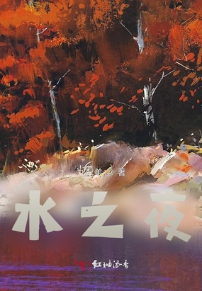 水之夜在线阅读