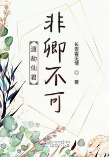 渡劫仙君非卿不可