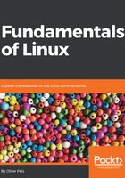 Fundamentals of Linux在线阅读