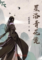 星洛青花瓷在線閱讀