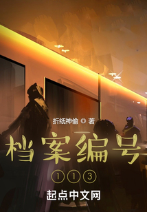 档案编号113