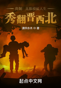 亮劍：無限模擬人生，秀翻晉西北