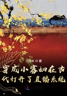 穿成小寡婦在古代打開了直播系統