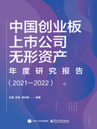 中国创业板上市公司无形资产年度研究报告(2021—2022)在线阅读