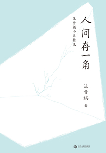 人间存一角：汪曾祺小说精选