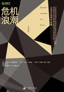 危機浪潮：未來在危機中顯現