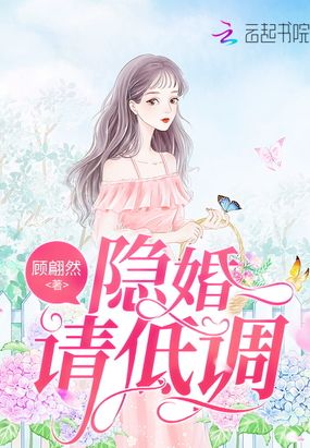 隐婚请低调在线阅读