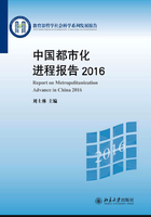 中国都市化进程报告2016