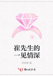 崔先生的一見情深