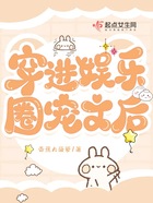 穿進娛樂圈寵文后在線閱讀