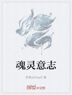 魂灵意志在线阅读