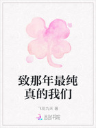 致那年最纯真的我们在线阅读