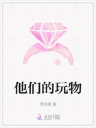 他们的玩物在线阅读