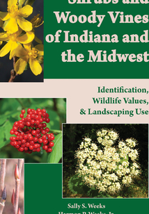 Shrubs and Woody Vines of Indiana and the Midwest