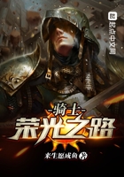 騎士榮光之路在線閱讀