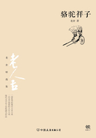 駱駝祥子（無刪節經典完整版）在線閱讀